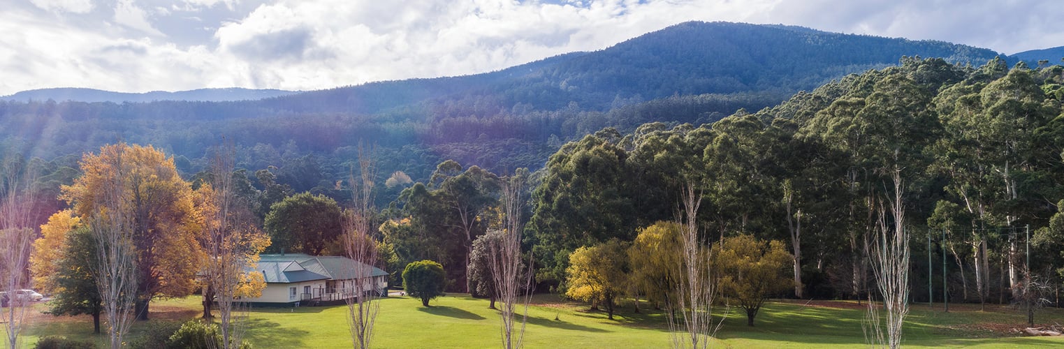 Discover the Best Warburton Accommodation for Your Stay